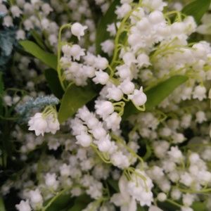 Meet your Posher, Chia